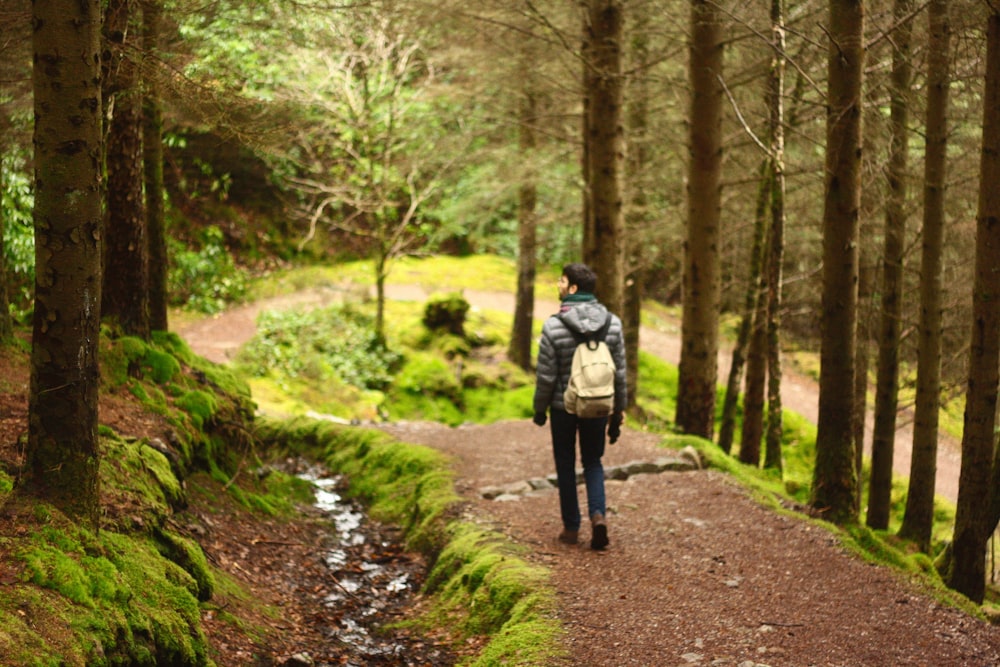 man hiking in between trees