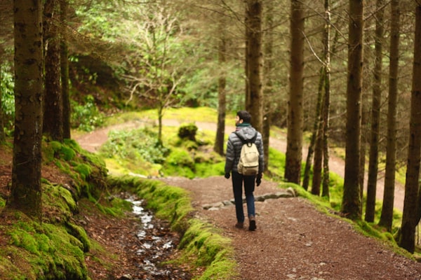 Finding Calm in the Great Outdoors