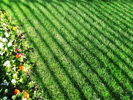 A well-maintained lawn with evenly spaced, diagonal mowing lines. On the left side, there's a colorful flower bed with various blooms including white, yellow, red, and orange flowers, adding vibrancy to the greenery.