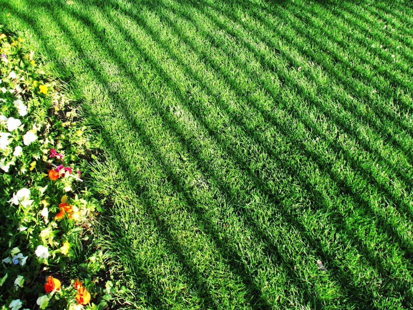 A well-maintained lawn with evenly spaced, diagonal mowing lines. On the left side, there's a colorful flower bed with various blooms including white, yellow, red, and orange flowers, adding vibrancy to the greenery.