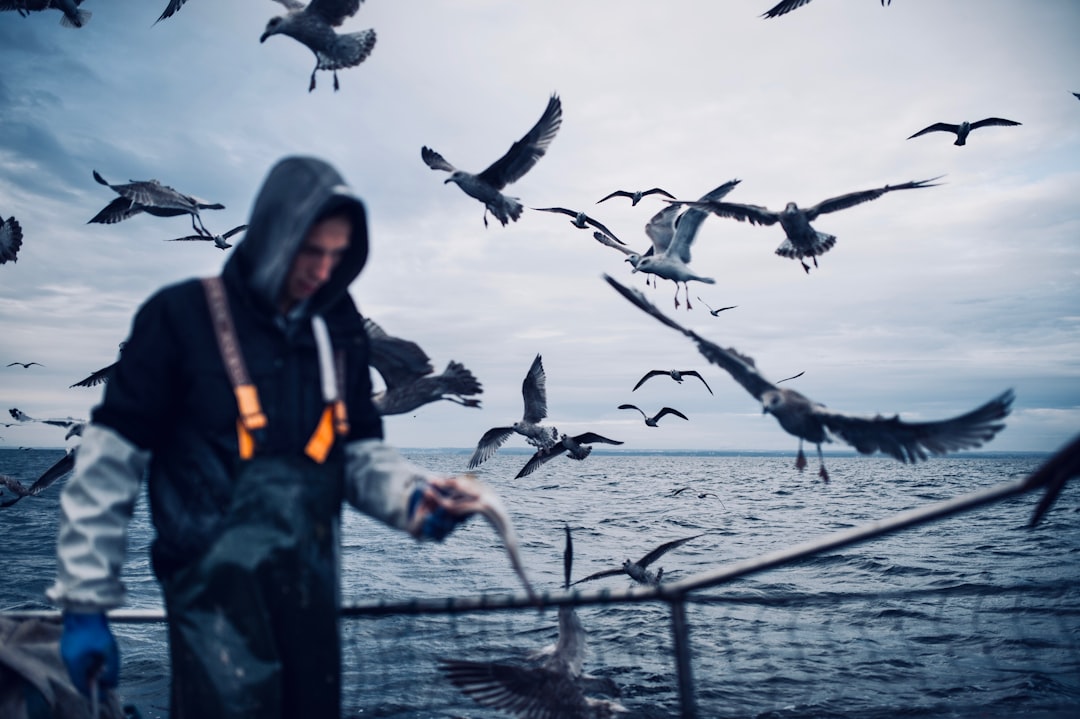 man wearing black waders beside rail near flock of birds