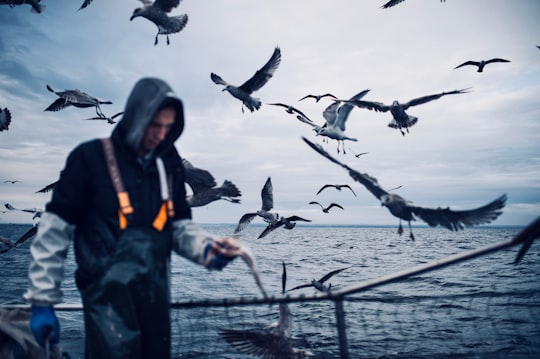 photo of Jastarnia Ocean near Pier in Sopot