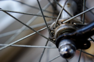 A close-up view of a bicycle wheel hub with metal spokes emanating from the center. The photo focuses on the intricate details of the hub and spokes, highlighting the metallic sheen and texture against a blurred background.