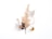 A composition of dried foliage and natural elements, including fern leaves, acorns, and other plant materials, arranged delicately against a plain white background. The materials display varied textures and earthy colors.