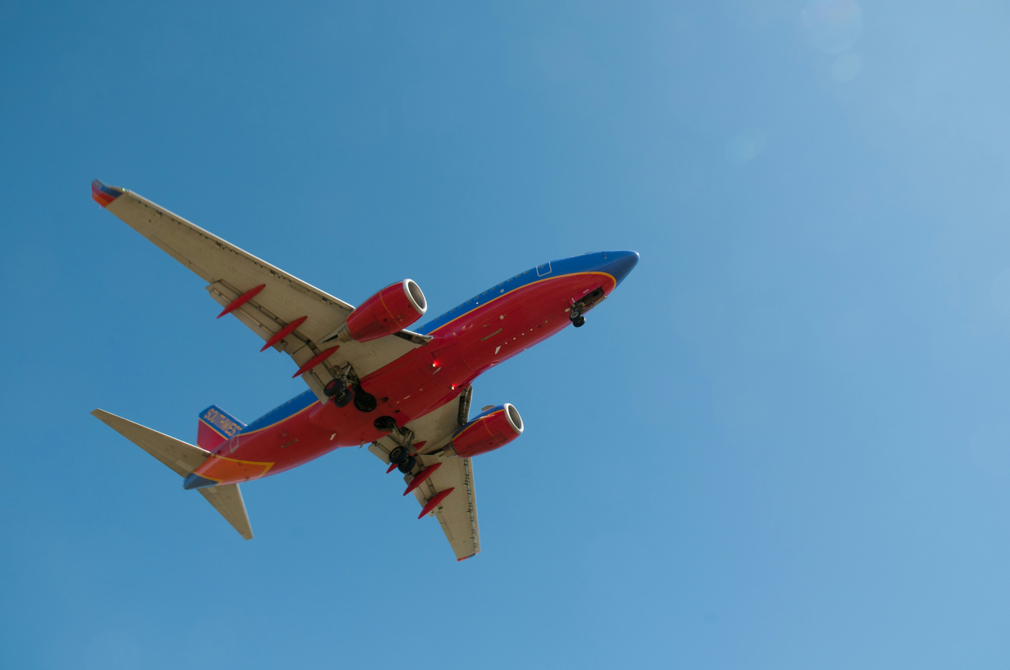 photo-1518205895282-3e64d49d69cf?ixlib=rb-1.2.1&ixid=eyJhcHBfaWQiOjEyMDd9&auto=format&fit=crop&w=1506&q=80