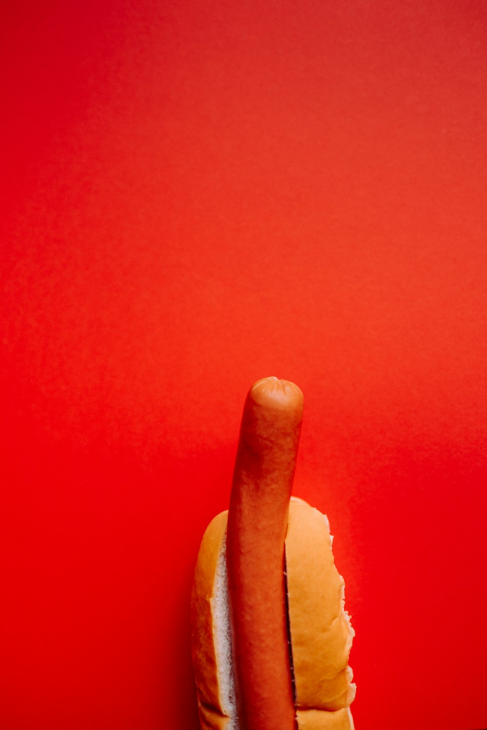 Hotdog-Sandwich auf rotem Hintergrund