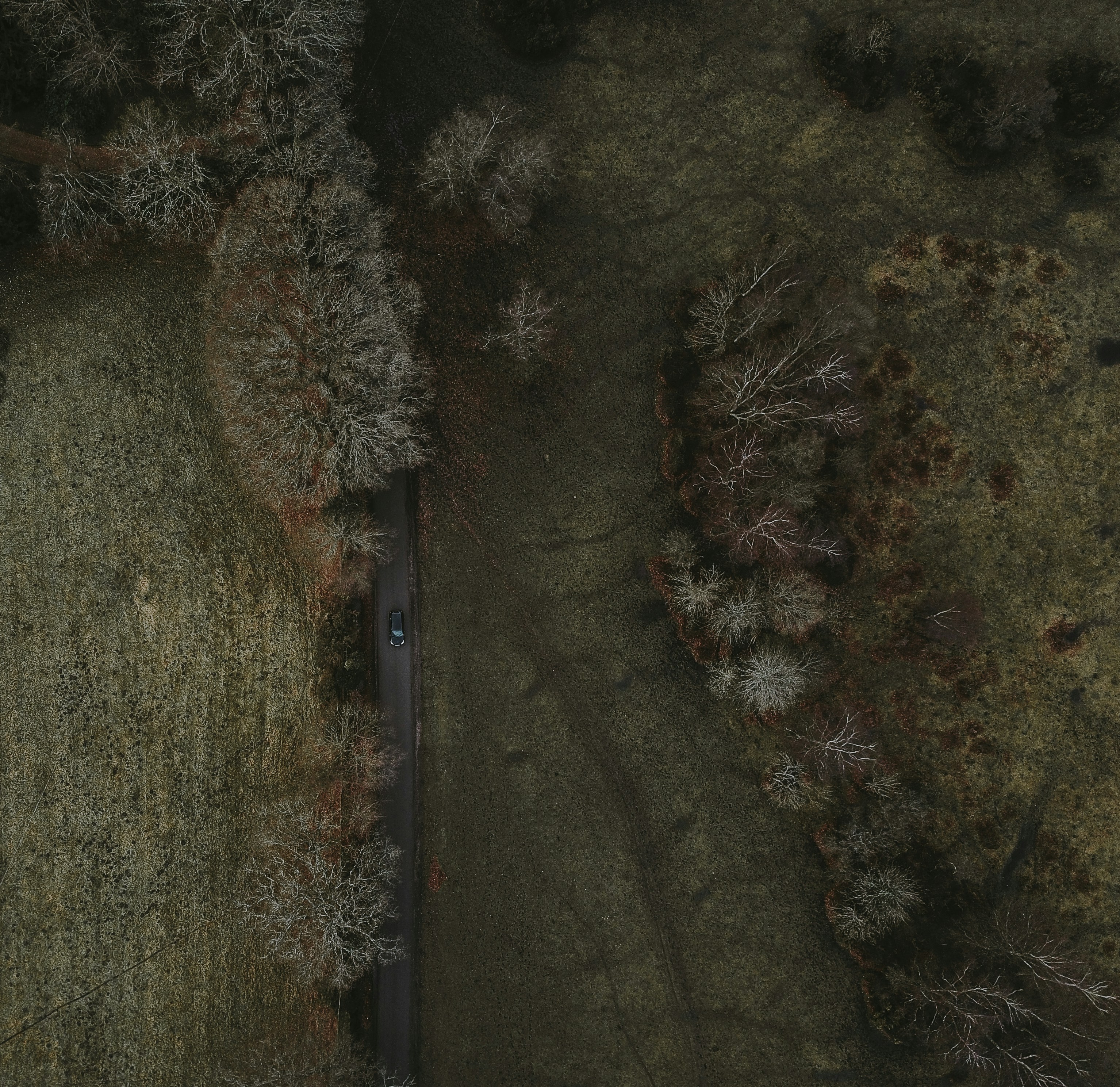 Photo by anniespratt