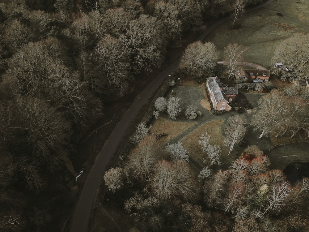 Vue aérienne de la route entre la forêt
