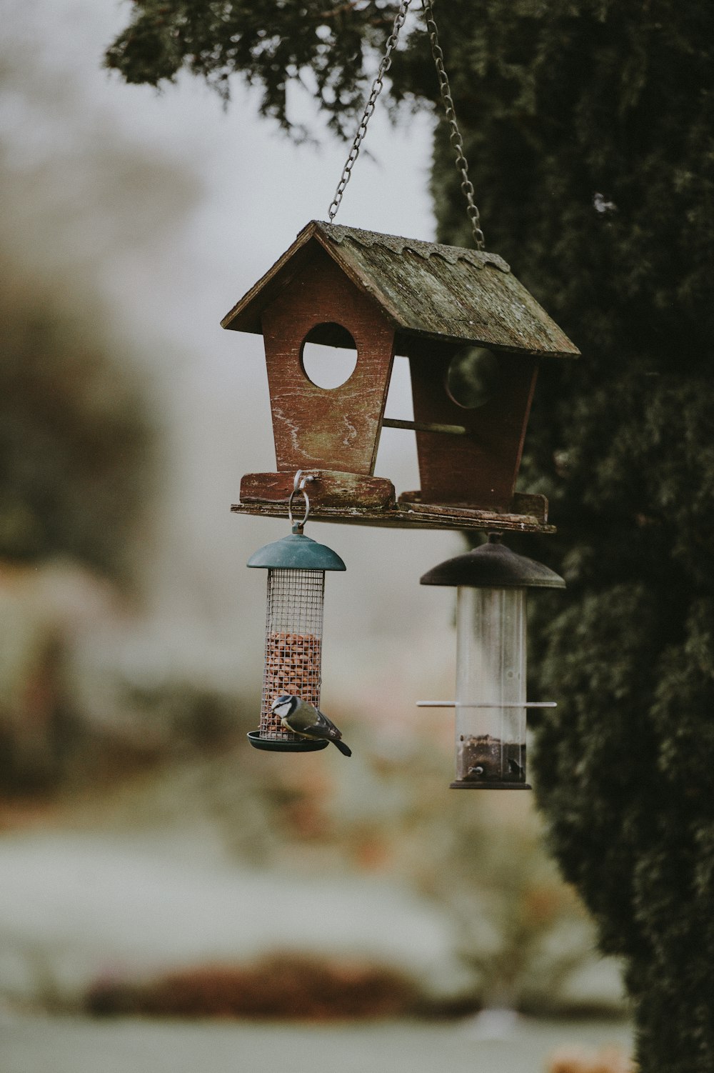 hanging brown bird house