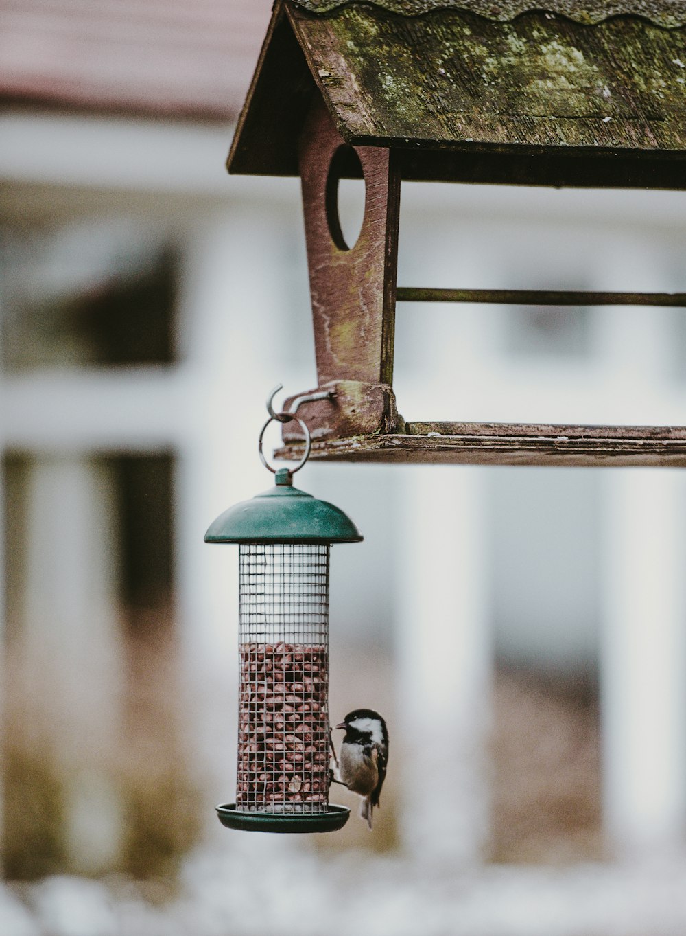 Moineau à côté de la mangeoire à oiseaux