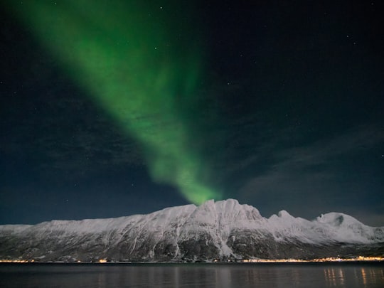 Aurora Borealis in Rolla Norway