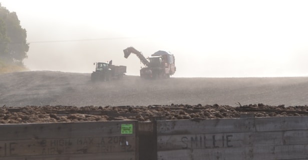 In a foggy or dusty agricultural setting, a tractor and a combine harvester operate in a field with large crates filled with harvested crops in the foreground. The atmosphere is hazy, suggesting early morning or evening work.