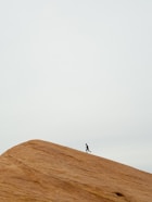 person running on top on hill during daytime
