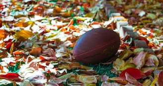 A football is nestled among a large pile of colorful autumn leaves. The sunlight casts various shades of yellow, orange, and red across the scene, creating a warm and inviting atmosphere. A row of small bricks is visible on the right side, partially obscured by leaves.