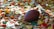A football is nestled among a large pile of colorful autumn leaves. The sunlight casts various shades of yellow, orange, and red across the scene, creating a warm and inviting atmosphere. A row of small bricks is visible on the right side, partially obscured by leaves.