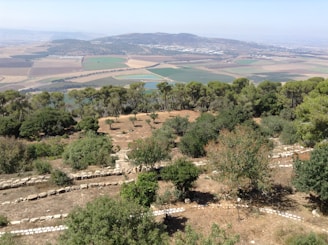 A scenic view of the farm’s landscape where herbs are nurtured with care and respect.