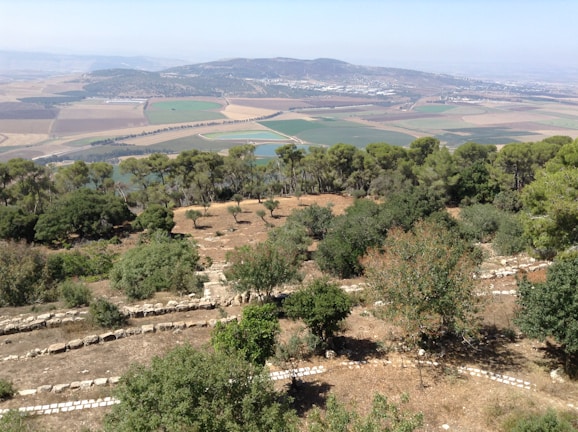 A beautiful landscape showcasing the family's heritage.