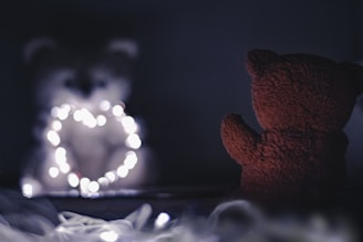 A dimly lit scene featuring two teddy bears facing each other. The bear on the right appears to be reddish-brown and is visible from the back, while the other is obscured by soft focus and holds a heart-shaped string of white lights.