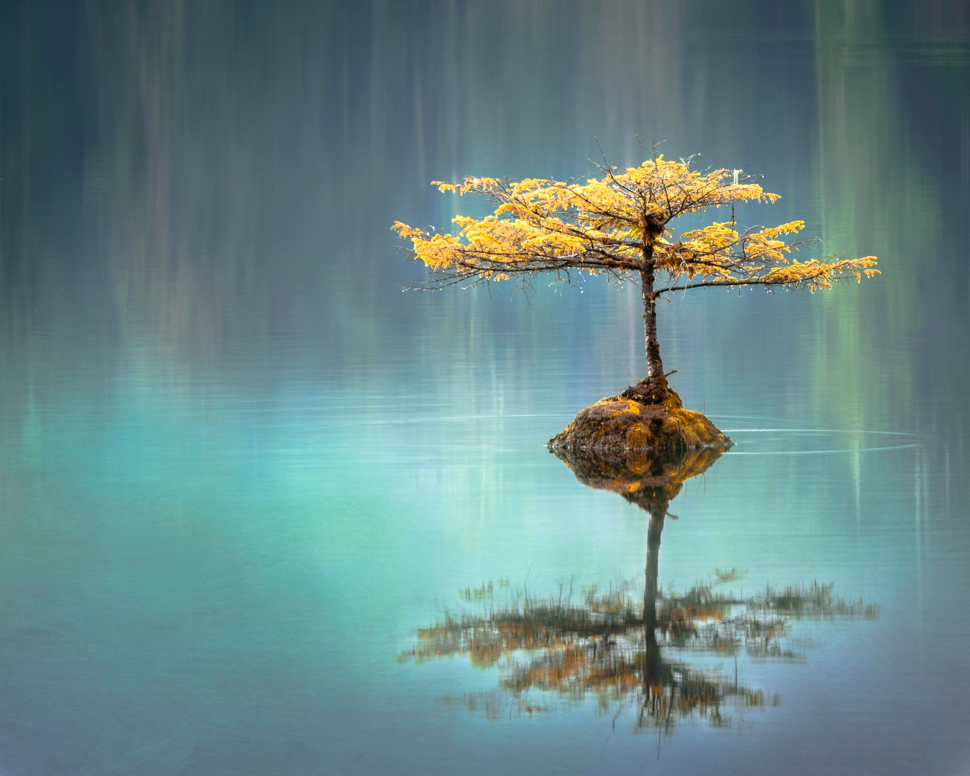 download reflect free