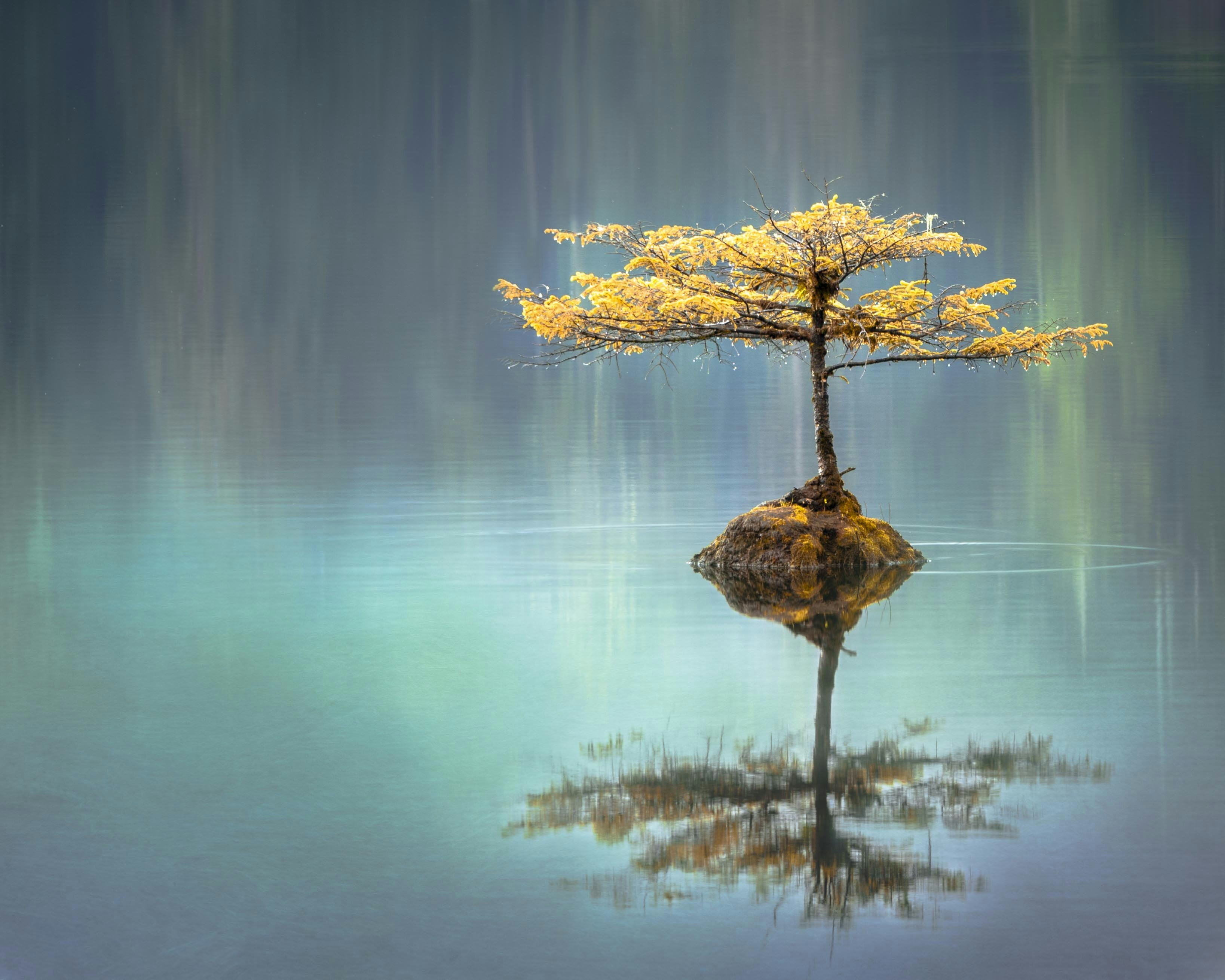 Tranquility Pictures  Download Free Images on Unsplash