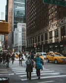 group of people crossing pedestrian lane