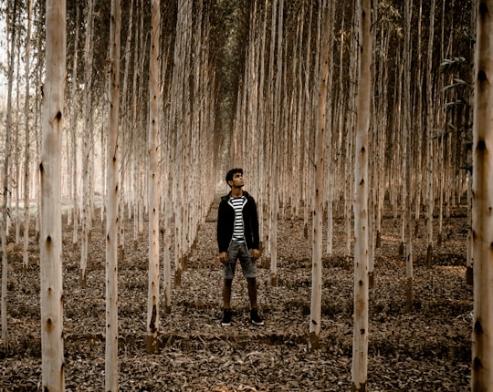 man standing in the woods in Rajpura India