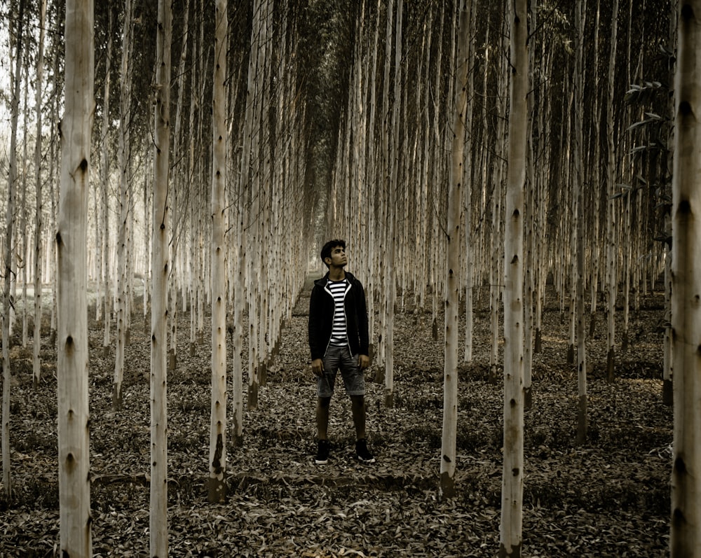 Hombre de pie en el bosque