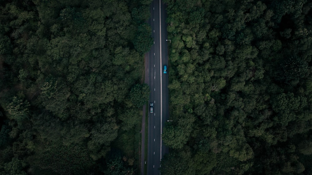 aerial view of road surrounded by trees