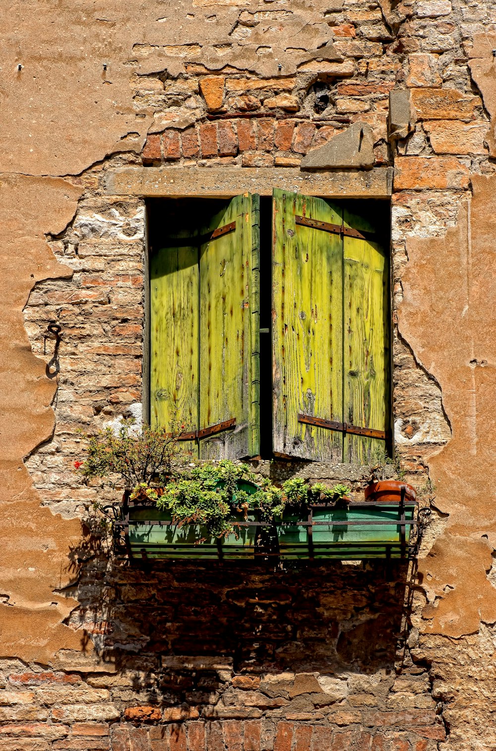 green wooden window