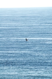 A serene ocean view with a whale breaching in the distance.