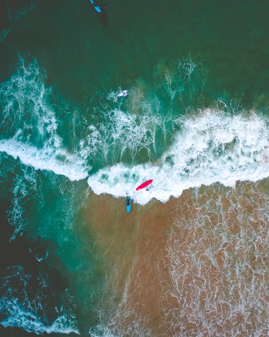 person riding on surfboard while surfing in Bondi Beach Australia