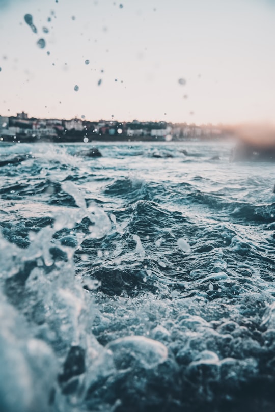 body of water during daytime in Bondi Beach Australia