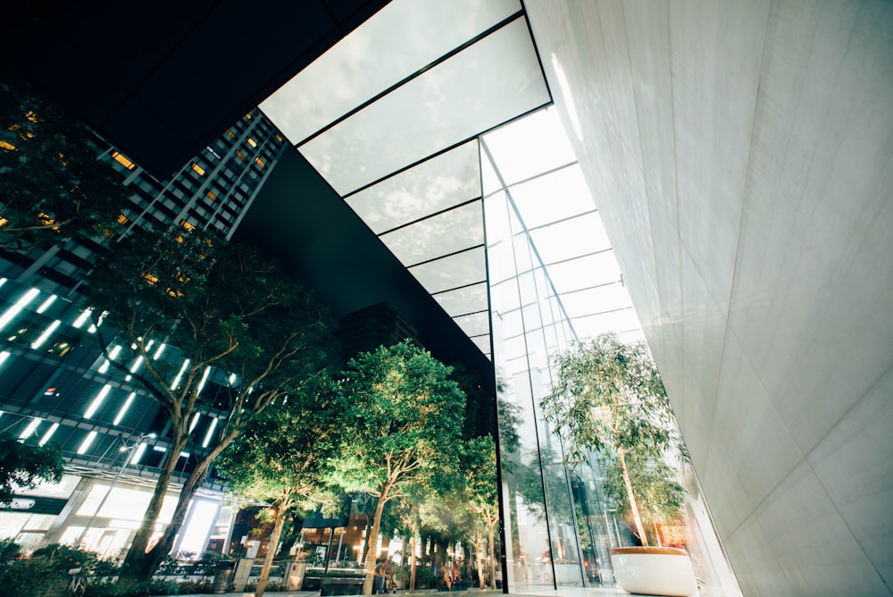 worm's eye view of glass building