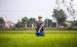 man holding basket