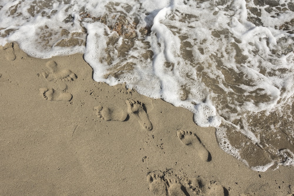 foto aerea di riva del mare