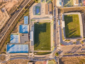 bird's-eye view of green grass fields