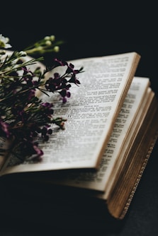 purple flowers on bookpage