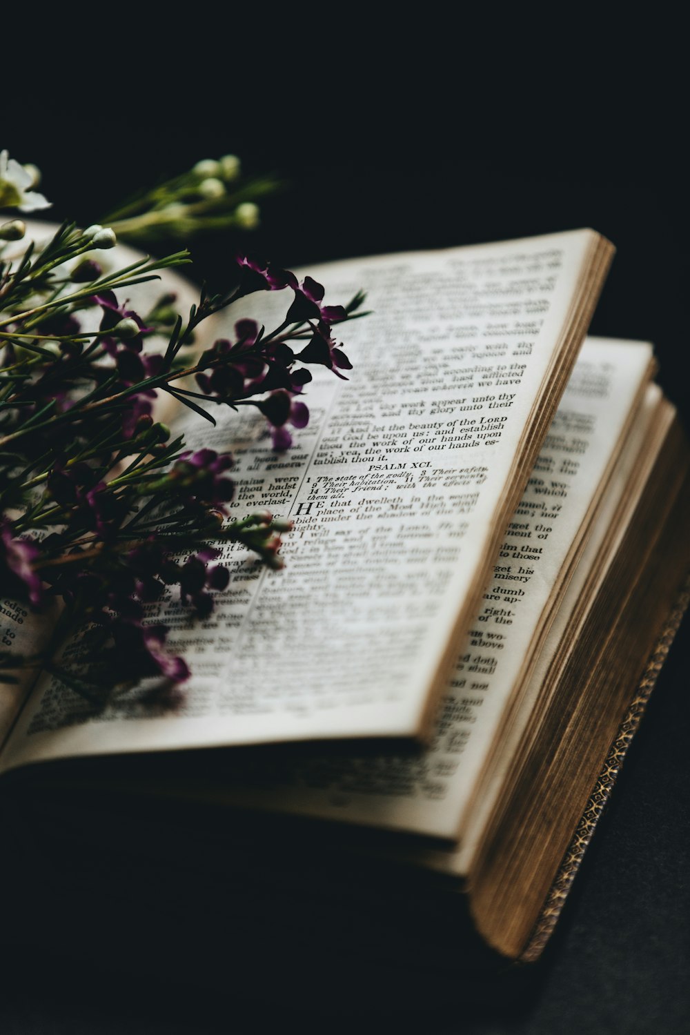 Flores moradas en la página del libro