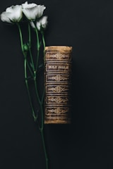 Holy Bible beside white rose