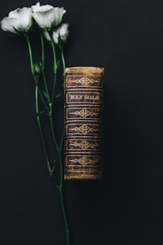 Holy Bible beside white rose