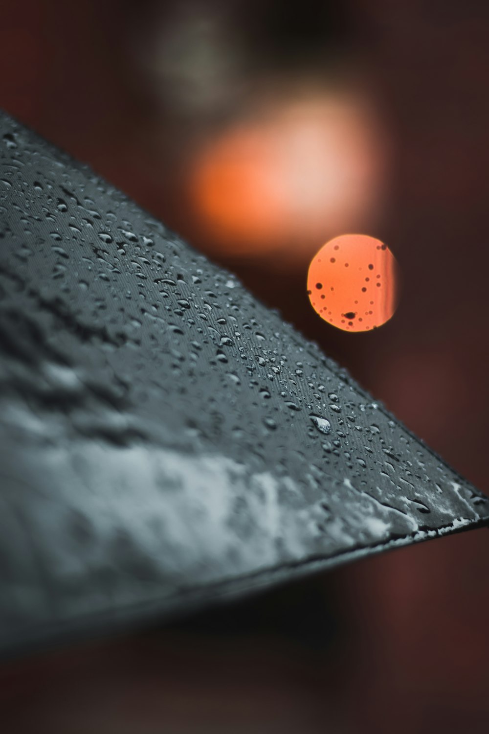 black umbrella with water droplets