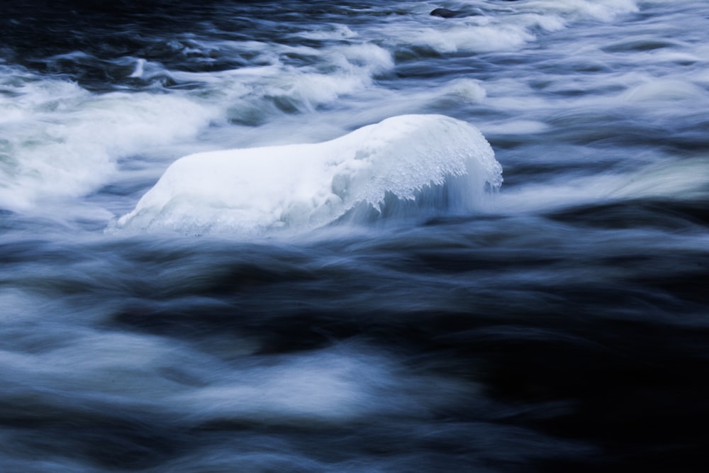 Photo d’un plan d’eau