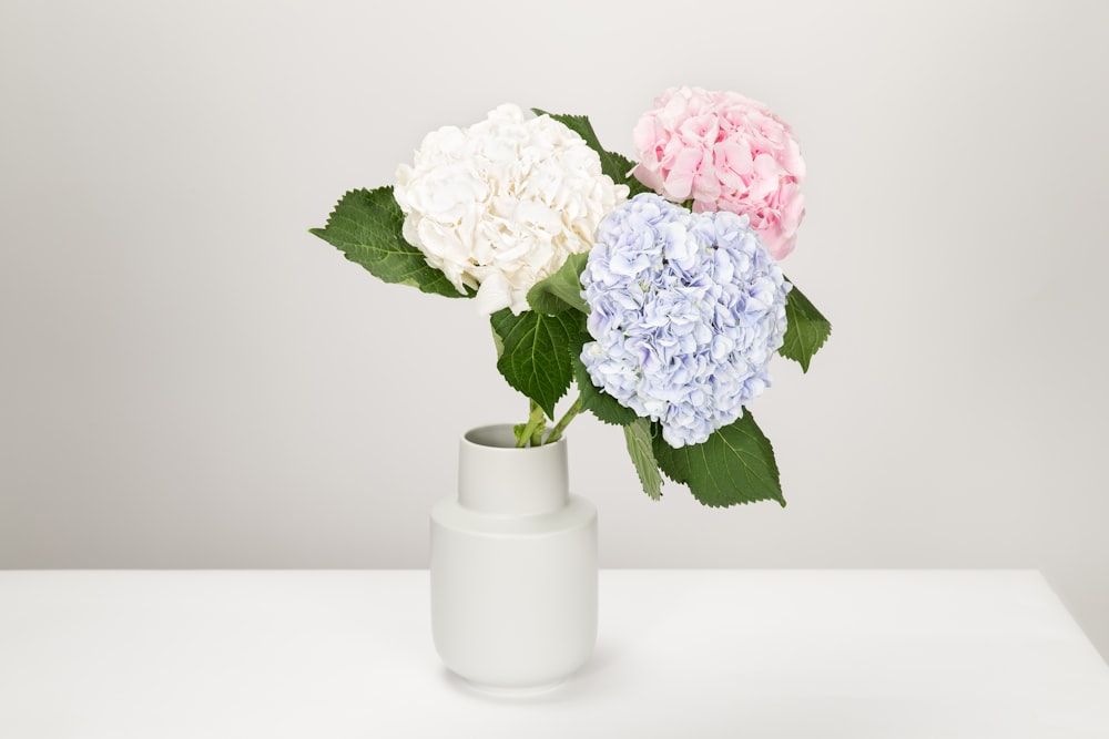 trois fleurs à pétales roses, blancs et violets dans un vase blanc