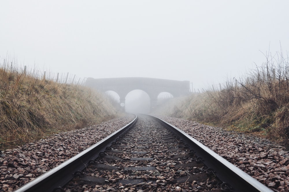 railway between grasses during daytime