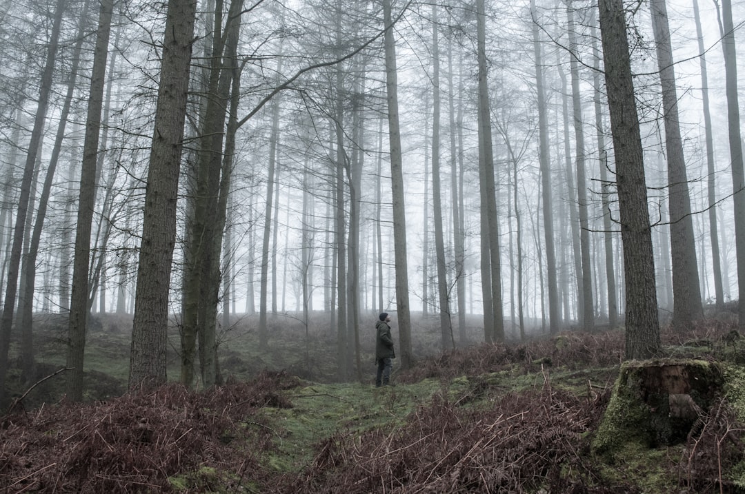 Forest photo spot Yorkshire Dales National Park Whitby