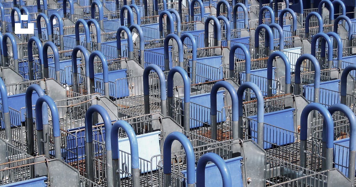 Blue and gray rack lot photo – Free Business trade Image on Unsplash
