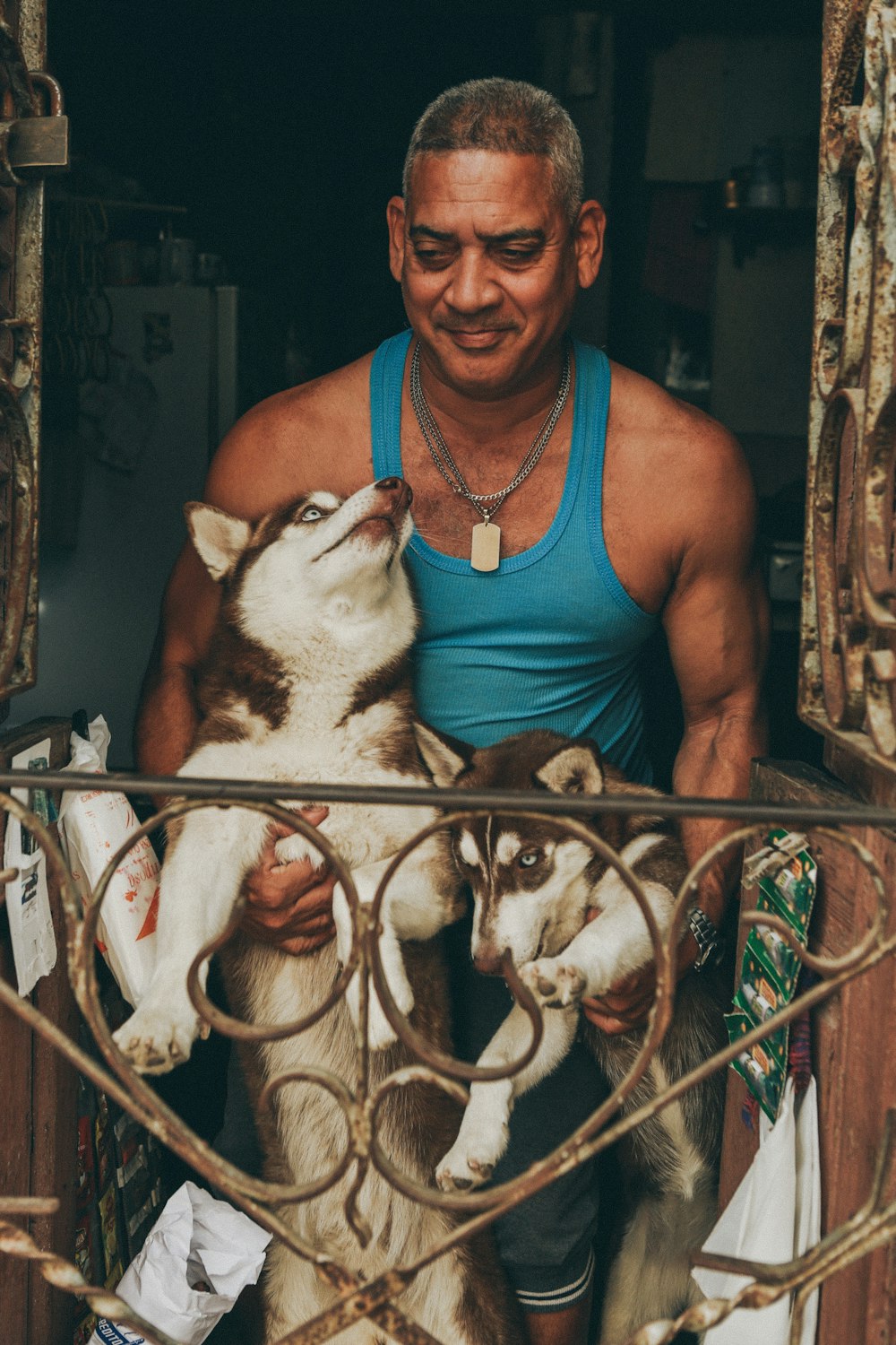 man holding two husky near window inside house