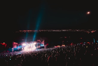 landscaped photo of a concert