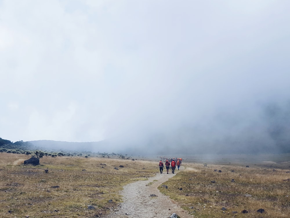 group of person walking on road