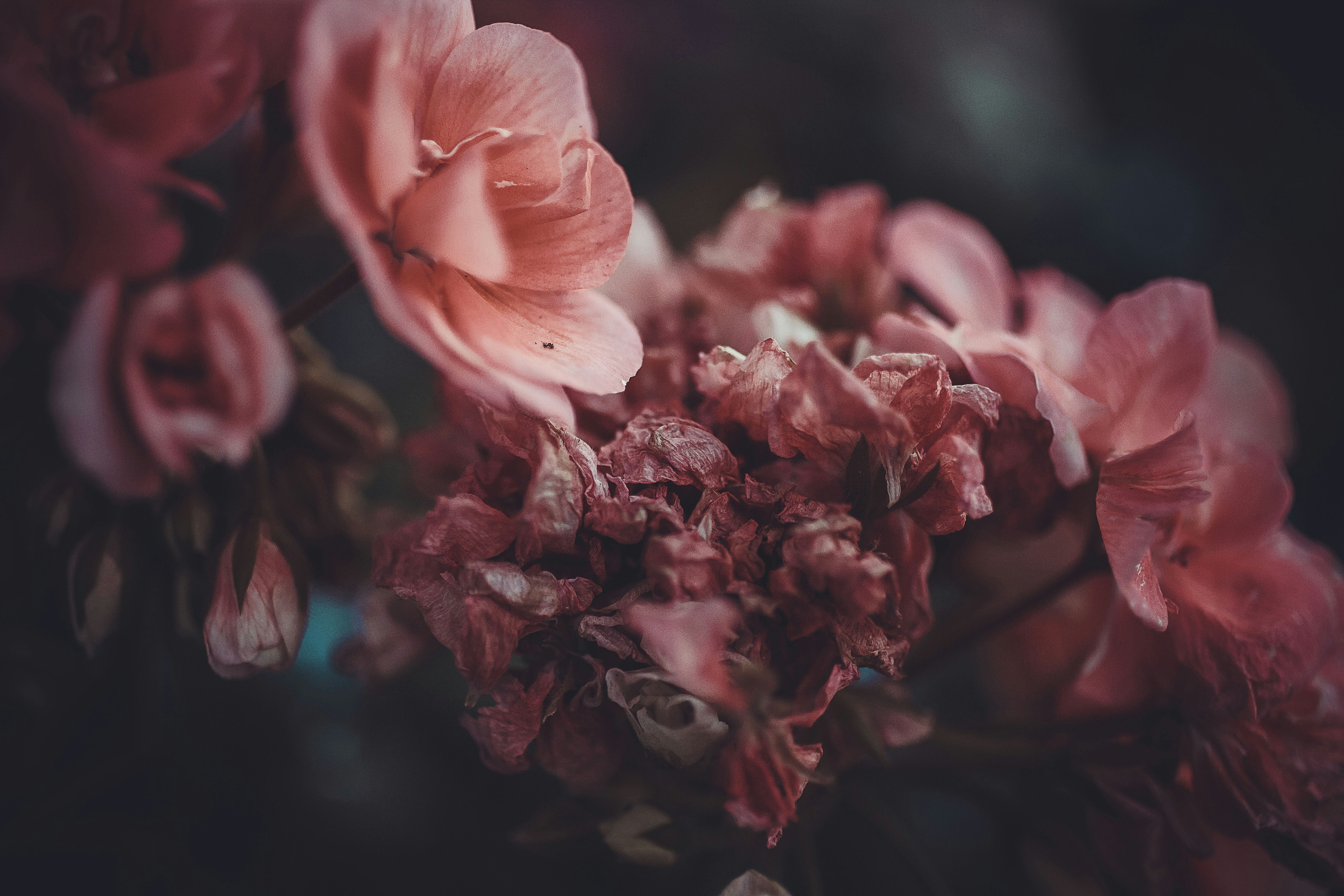 Photo by ksenyavonshlezinger